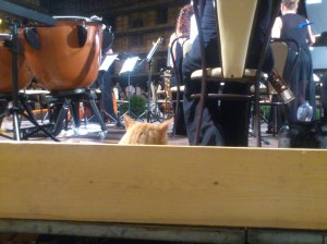 Best seat in the house for Concert Cat during Eroica.